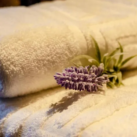 Metochi Traditional House * La Canea